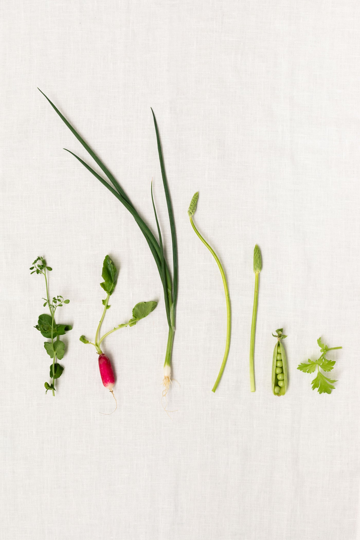 Apports nutritionnels optimaux pour les végétaliens : 9 nutriments clés à retenir