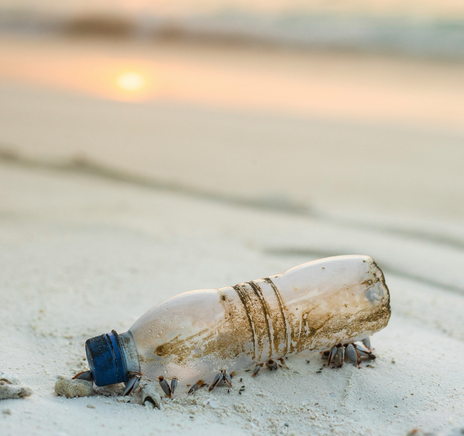 Wie Mikroplastik der Gesundheit schadet
