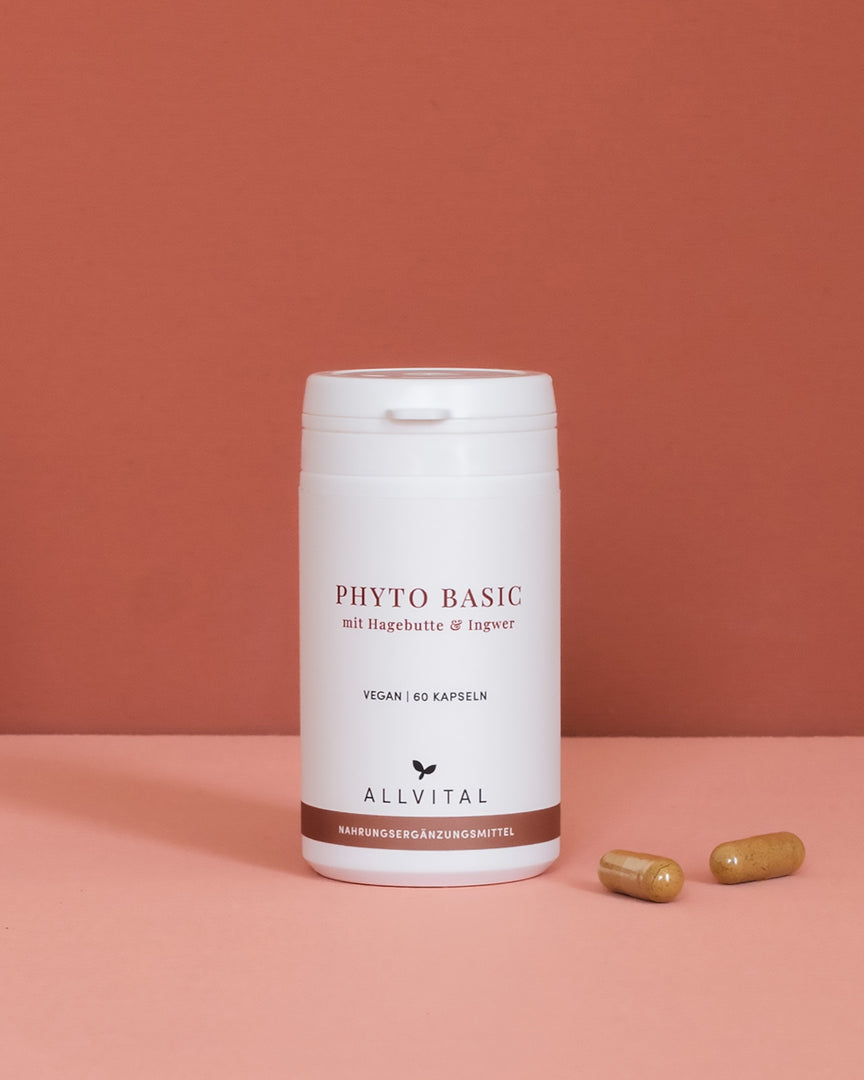Allvital Phyto Basic mit Hagebutte und Ingwer. Hagebutte unterstützt ein gesundes Immunsystem und eine gesunde Verdauung