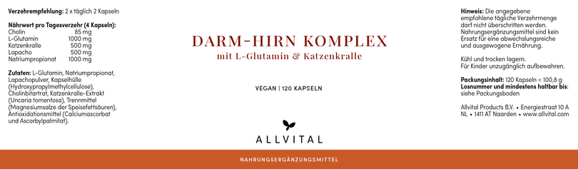 Darm-Hirn_Komplex.png