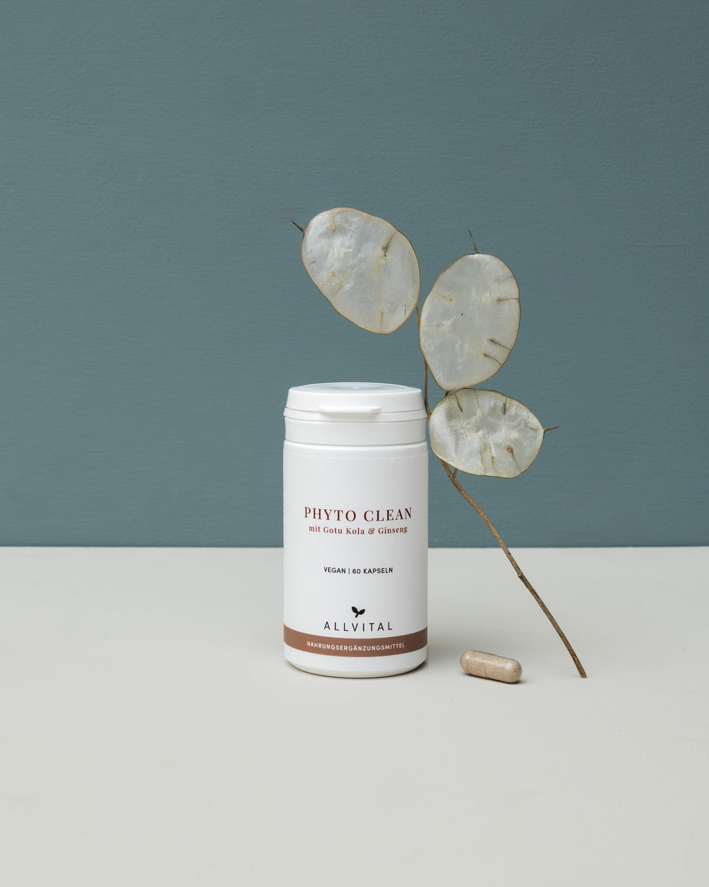 phyto_clean