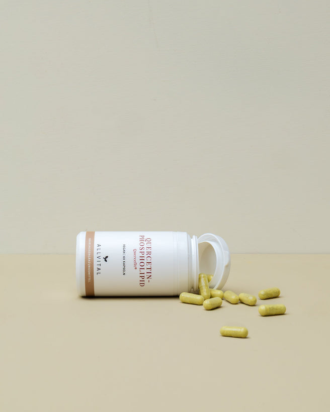Quercetin-Phospholipid